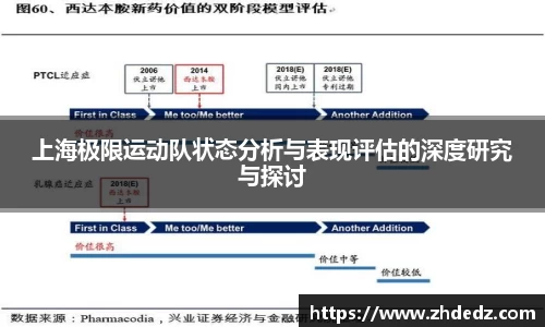 上海极限运动队状态分析与表现评估的深度研究与探讨
