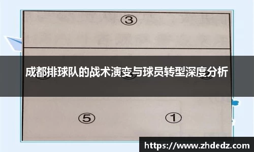 成都排球队的战术演变与球员转型深度分析
