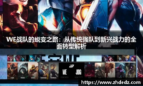 WE战队的蜕变之路：从传统强队到新兴战力的全面转型解析