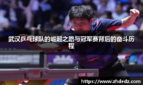 博鱼中国官方入口