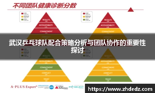 武汉乒乓球队配合策略分析与团队协作的重要性探讨